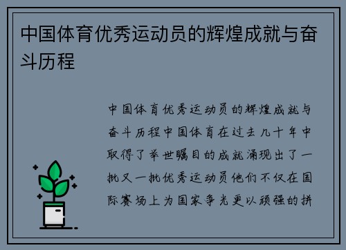 中国体育优秀运动员的辉煌成就与奋斗历程